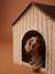 Kennel and Maisonnette basket for FAMILY pet beige 