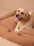 Quilted velvet pet basket FAMILY camel 