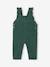Corduroy Dungarees with Ruffles for Babies green+PURPLE DARK SOLID 
