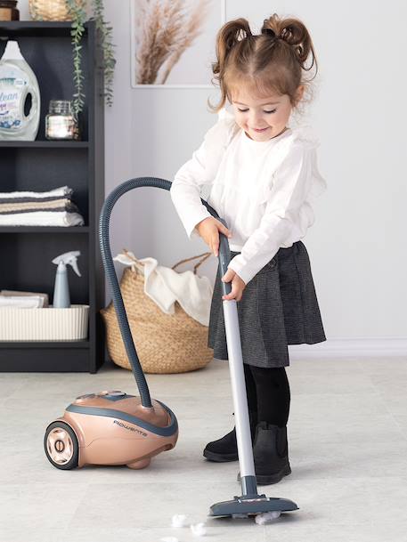 Rowenta Vacuum Cleaner gold 