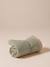 Nomadic rug/blanket for FAMILY pets printed brown+striped green 