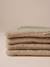 Nomadic rug/blanket for FAMILY pets printed brown+striped green 