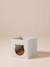 Teddy fabric cat basket FAMILY white 