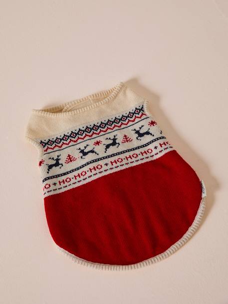 Christmas jumper for dogs FAMILY red 