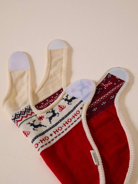 Christmas jumper for dogs FAMILY red 