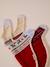 Christmas jumper for dogs FAMILY red 
