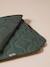 Roll-up travel blanket for pets FAMILY green 