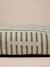XXL dog mattress FAMILY striped green 