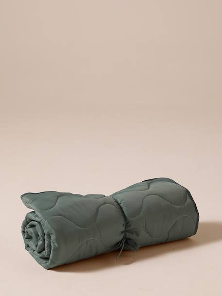 Roll-up travel blanket for pets FAMILY green 