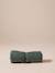 Roll-up travel blanket for pets FAMILY green 
