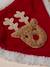 Bandana collar + Christmas beanie for dog FAMILY red 