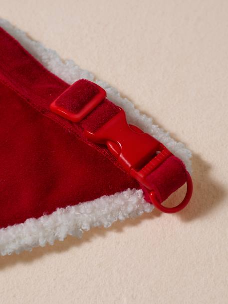 Bandana collar + Christmas beanie for dog FAMILY red 