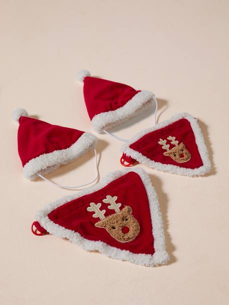 Bandana collar + Christmas beanie for dog FAMILY red 