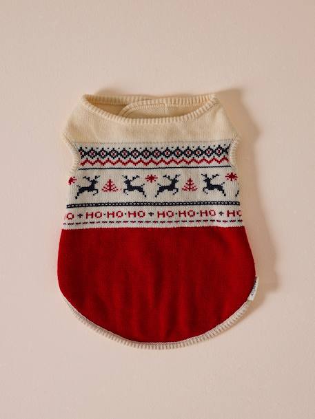 Christmas jumper for dogs FAMILY red 