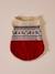 Christmas jumper for dogs FAMILY red 