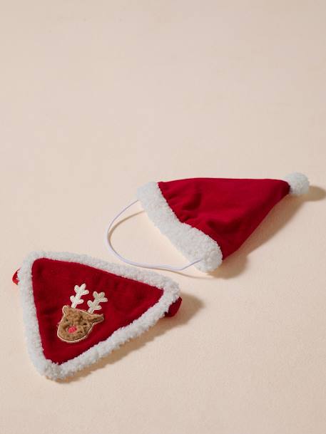 Bandana collar + Christmas beanie for dog FAMILY red 