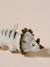 Cat fishing rod FAMILY green 
