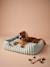 Cotton canvas pet basket FAMILY striped green 