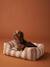 Quilted pet basket FAMILY clay beige+hazel+striped white 