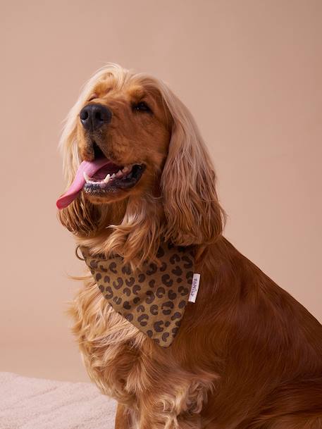 Dog bandana collar FAMILY printed brown 