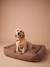 Quilted velvet pet basket FAMILY camel 
