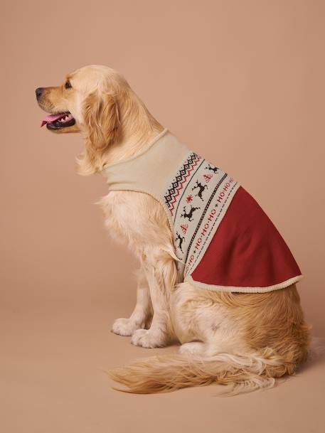 Christmas jumper for dogs FAMILY red 