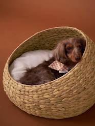 Bedding & Decor-Decoration-Pet Accessories-Oval pet basket FAMILY 