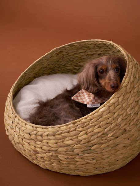 Oval pet basket FAMILY beige 