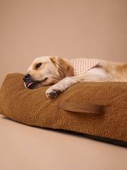 Bedding & Decor-XXL Teddy Pet floor mattress