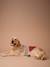 Christmas jumper for dogs FAMILY red 