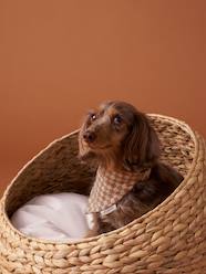 Bedding & Decor-Checkered bandana collar for dogs FAMILY 