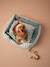 Cotton canvas pet basket FAMILY striped green 