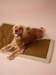 Bedding & Decor-Nomadic rug/blanket for FAMILY pets 