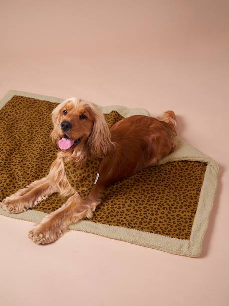 Nomadic rug/blanket for FAMILY pets printed brown+striped green 