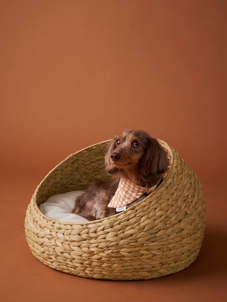 Oval pet basket FAMILY beige 