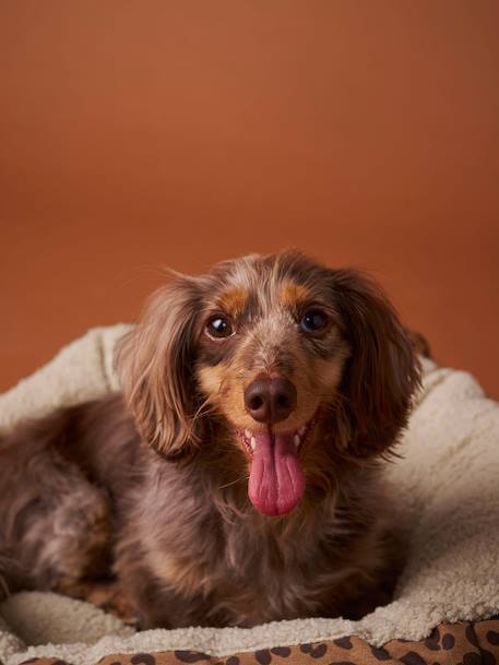 Quilted pet basket FAMILY caramel+printed brown 