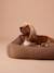 Quilted velvet pet basket FAMILY camel 