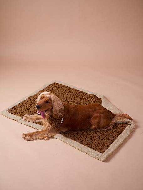 Nomadic rug/blanket for FAMILY pets printed brown+striped green 