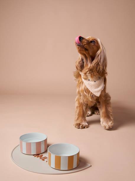 Ceramic Dog Bowl, FAMILY camel+printed white+striped pink 