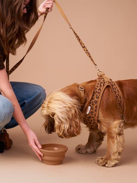 Collapsible silicone bowl, FAMILY camel 