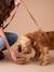 Collapsible silicone bowl, FAMILY camel 