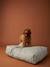 XXL dog mattress FAMILY striped green 