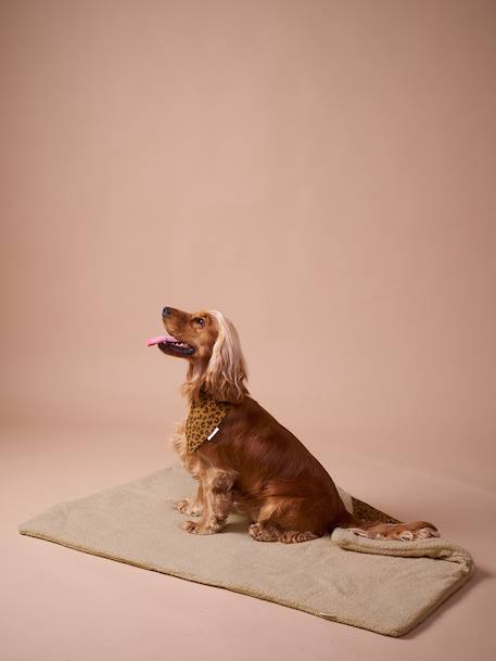 Nomadic rug/blanket for FAMILY pets printed brown+striped green 