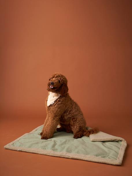 Nomadic rug/blanket for FAMILY pets printed brown+striped green 