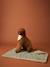 Nomadic rug/blanket for FAMILY pets printed brown+striped green 