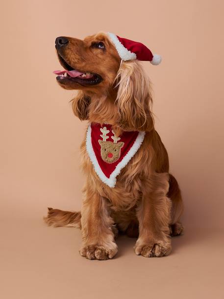 Bandana collar + Christmas beanie for dog FAMILY red 