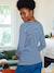 Long-Sleeved Maternity Top navy blue+White Stripes 