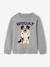Round Neckline Jumper with Dog Motif marl grey 