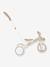Learning Trike ride-on toy - 2-in-1 Tricycle - GLOBBER olive+taupe 