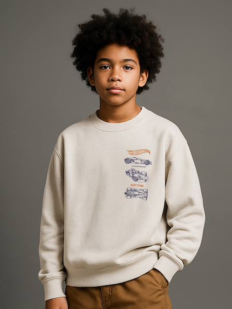Mattel® HOT WHEELS boy's sweatshirt marl beige 